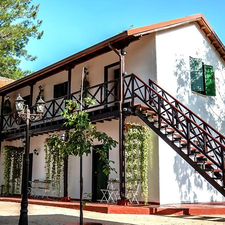 Pine View Boutique Hotel Adults Only Saittas Bagian luar foto