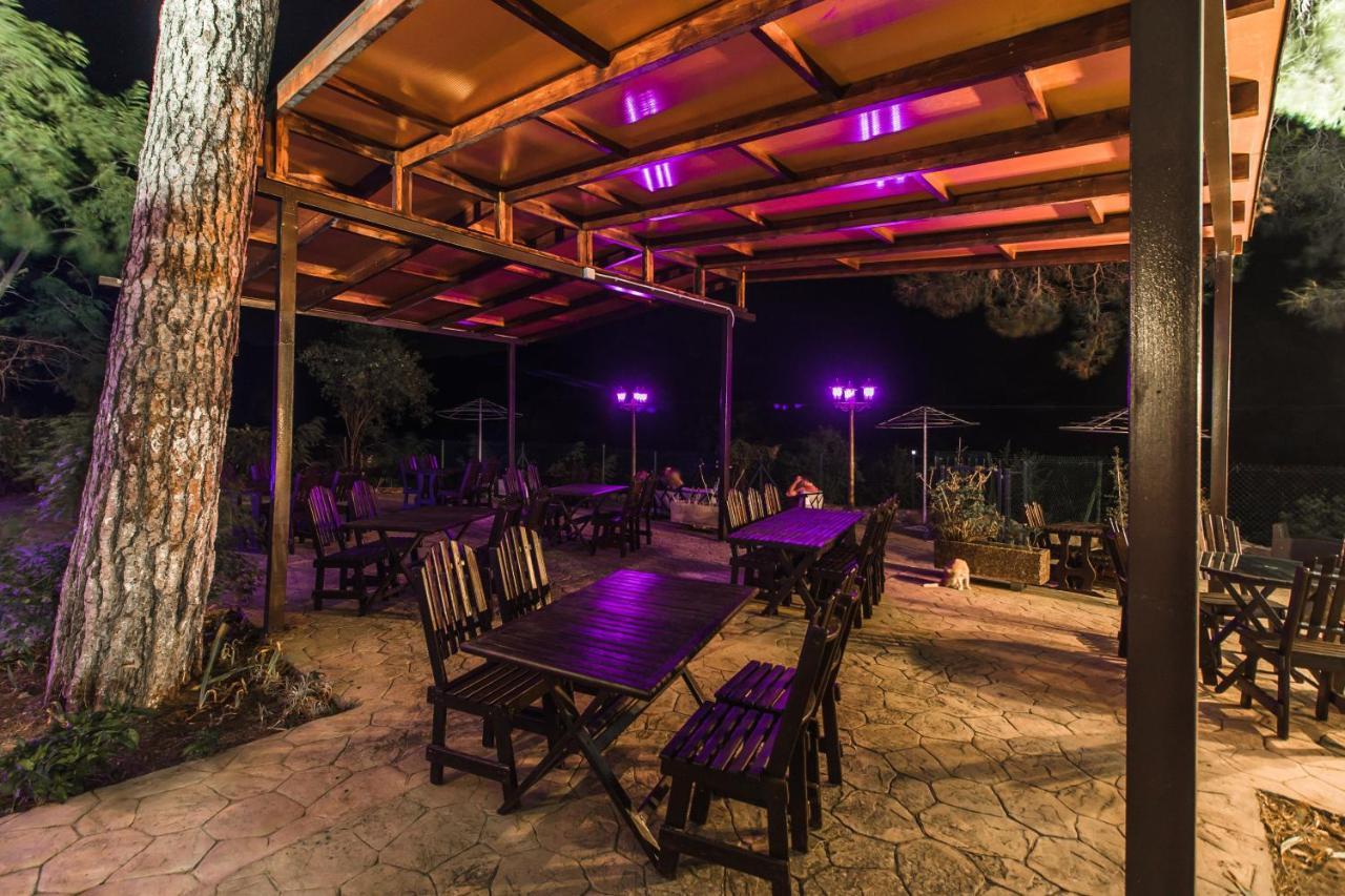 Pine View Boutique Hotel Adults Only Saittas Bagian luar foto
